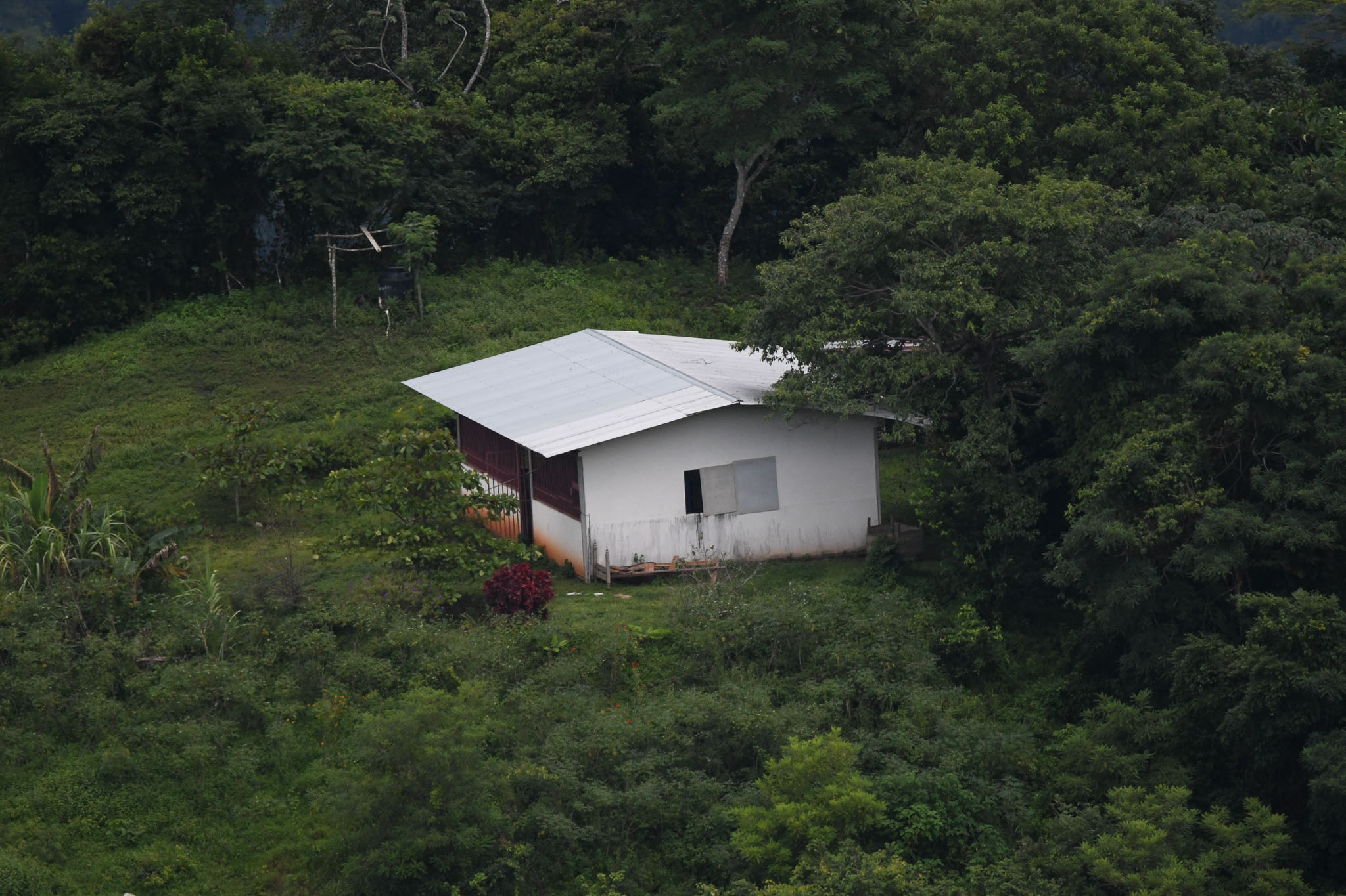 Landscapes wildlife photo by Wildlight Studio Costa Rica