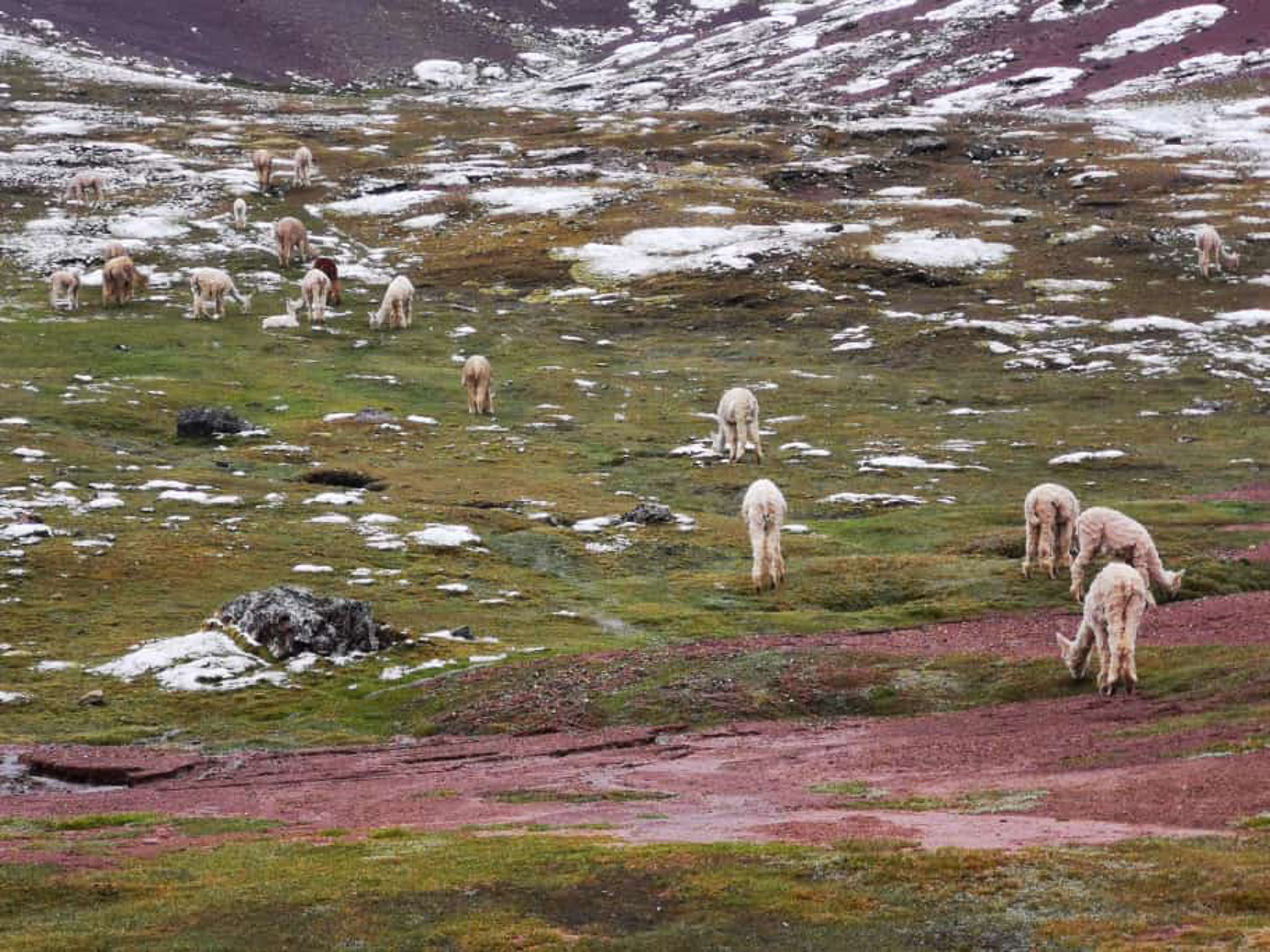 Landscapes wildlife photo by Wildlight Studio Costa Rica