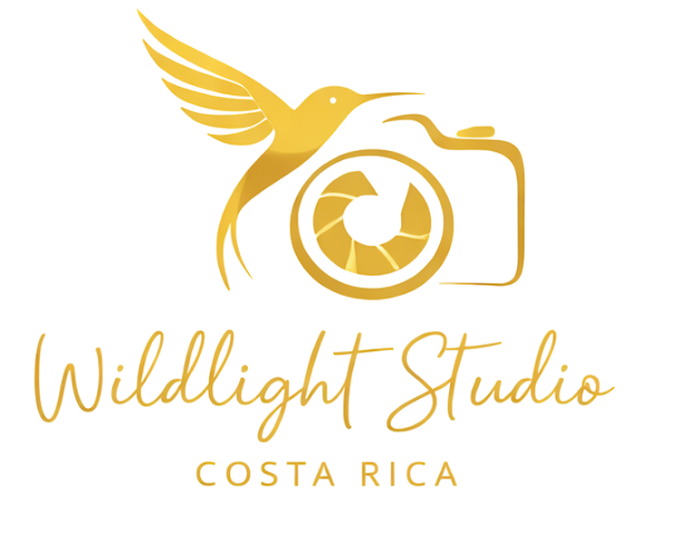 Wildlight Studio Costa Rica logo